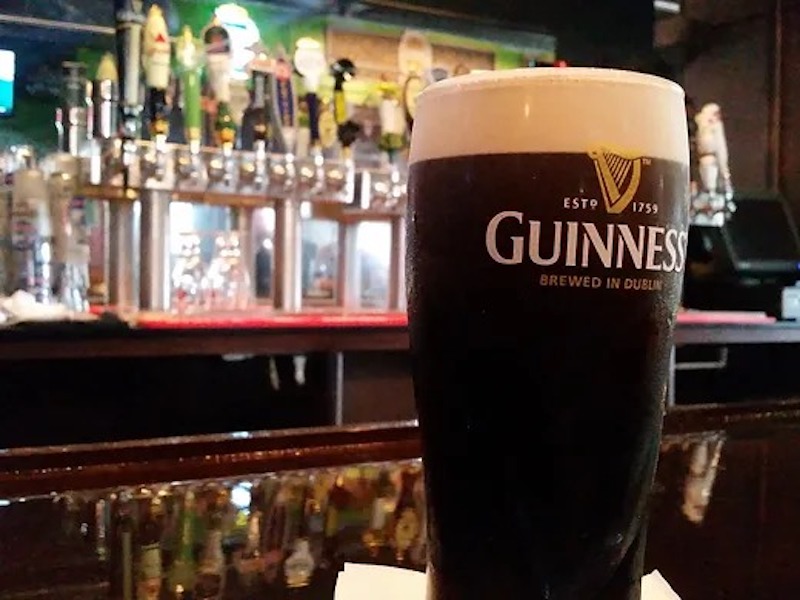 dog friendly maloneys, downtown tampa bay things to do in downtown Tampa