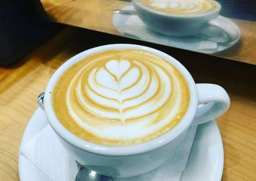 Get Your Caffeine Fix at These 6 Coffee Shops in Clearwater