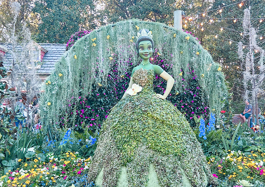 epcot flower and garden festival