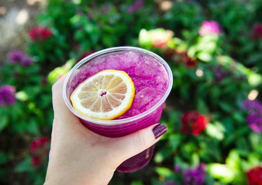 drinking around the world at epcot