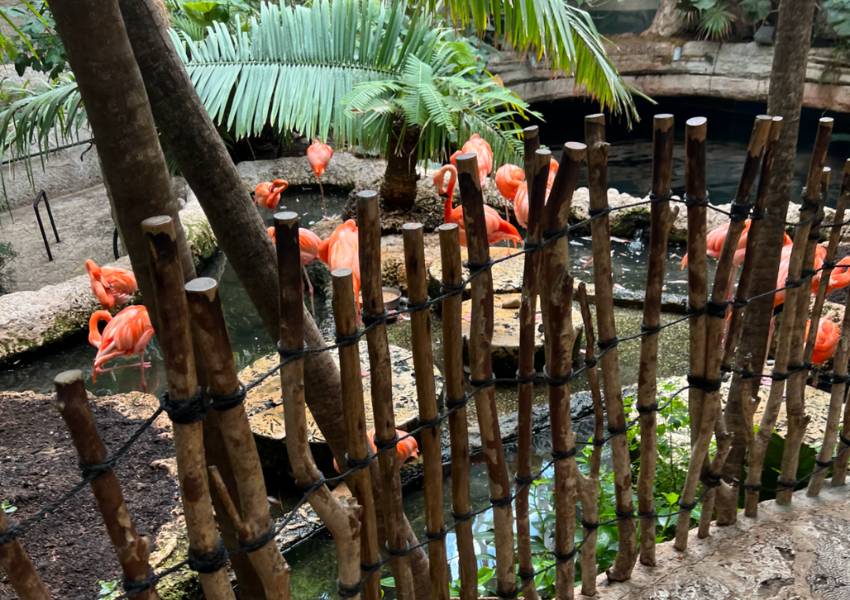 Dallas World Aquarium