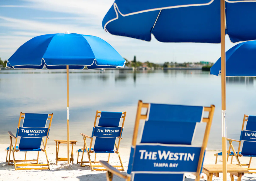 hotels in tampa tampa hotels best hotels in tampa