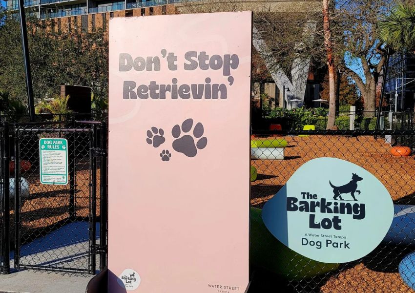 dog parks dog park tampa dog friendly parks near me