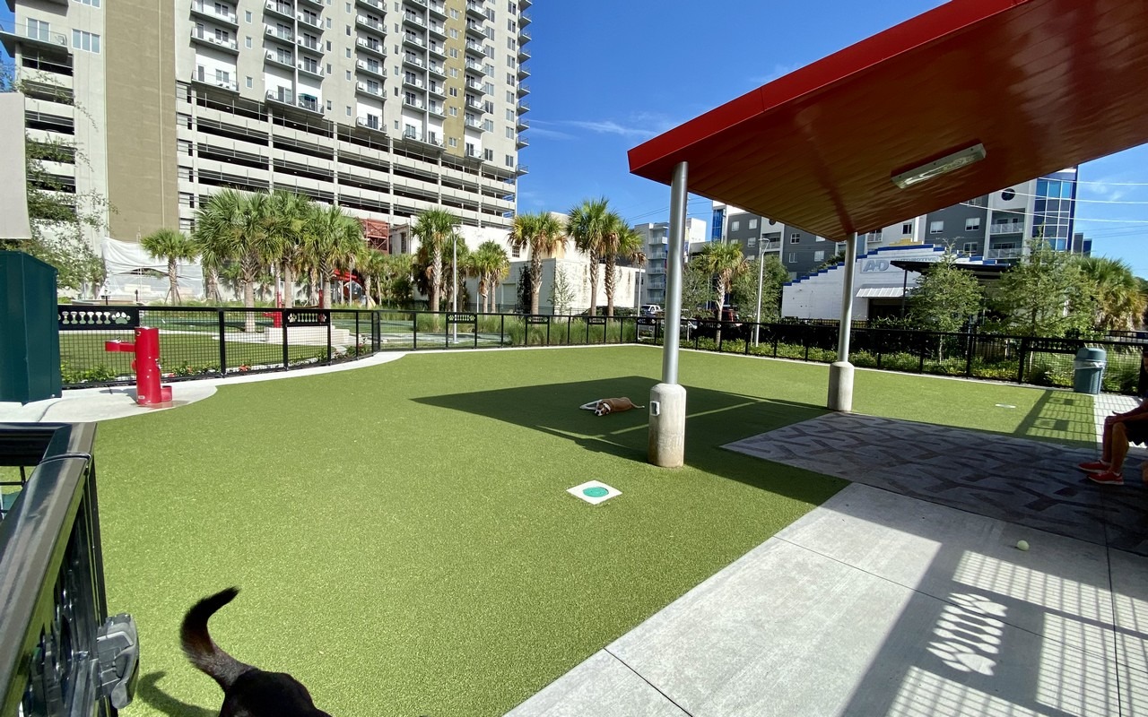 dog friendly places sparkman wharf dog friendly places near me