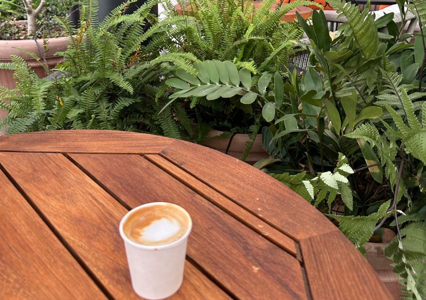 coffee in channelside and water street