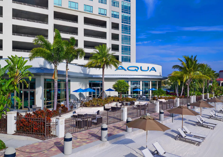 hotels in tampa tampa hotels best hotels in tampa