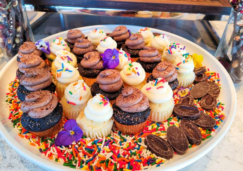 New Things to do in Dallas Fort Worth