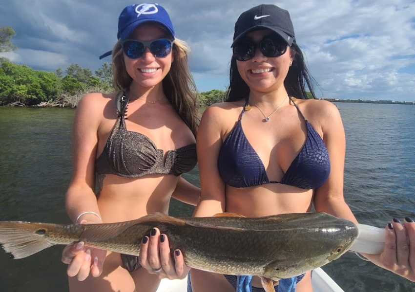 daycation in Tampa day passes in tampa day pass tampa bay, best fishing spots in tampa best fishing spots in tampa bay places to fish in tampa