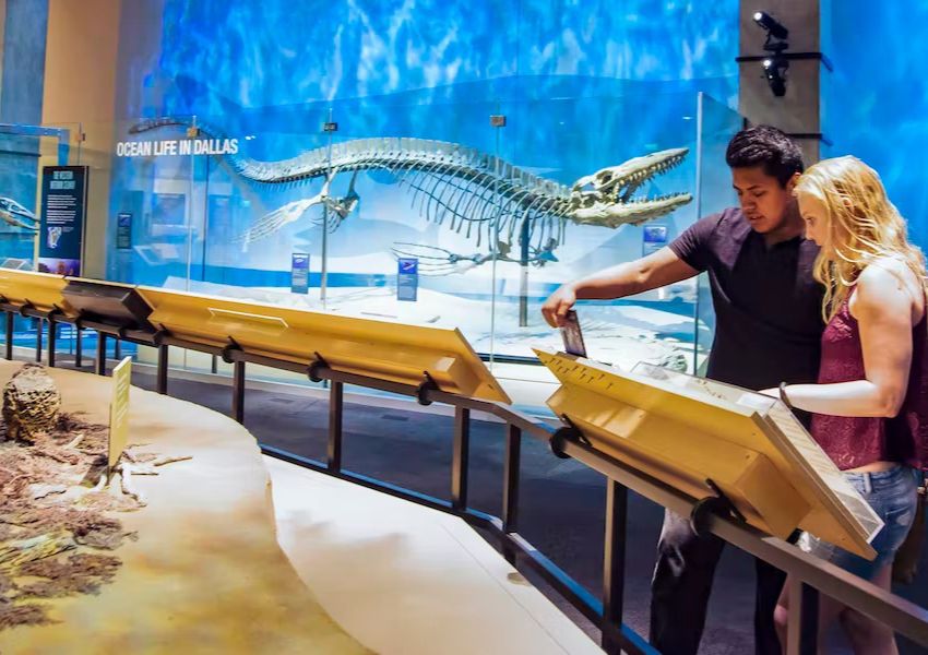 Accessible Perot