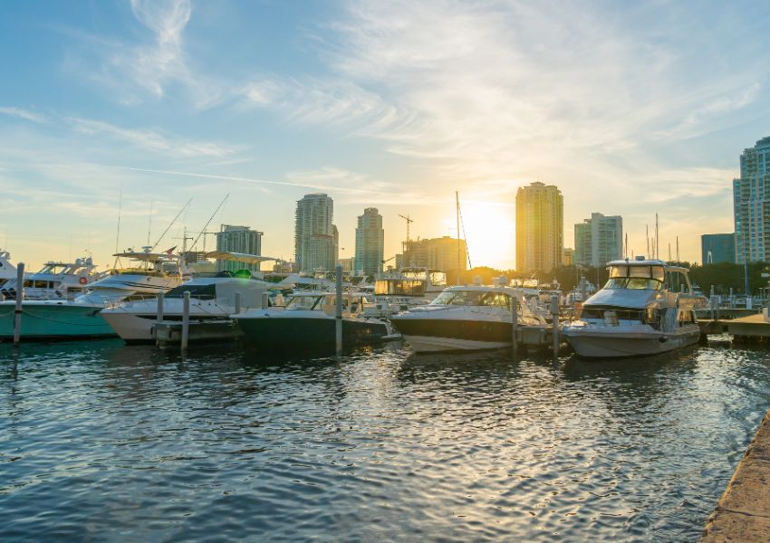 dog friendly spots in tampa bay | best dog friendly places in tampa | dog friendly restaurants in tampa bay | dog friendly tampa hotels