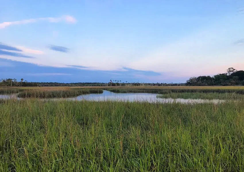 Best Places to Paddleboard in Jacksonville