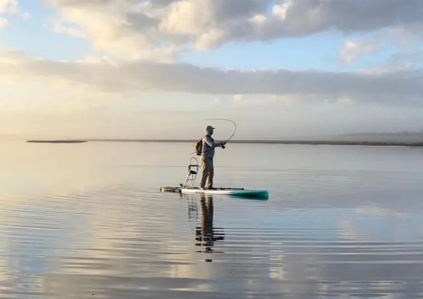 Best Places to Paddleboard in Jacksonville