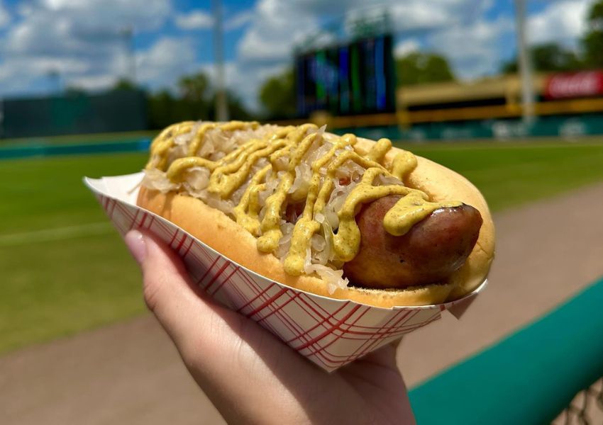 best hot dogs hot dogs tampa best hot dogs tampa hot dog tampa hot dog spots near me mel's hot dogs