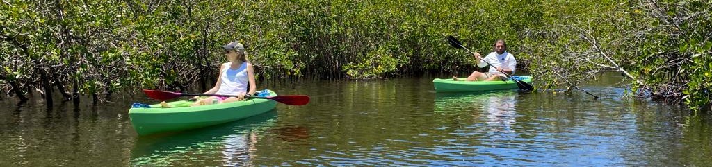 River Wild Kayaking