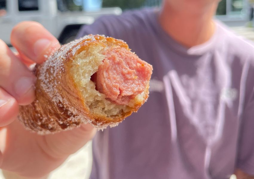 best hot dogs hot dogs tampa best hot dogs tampa hot dog tampa hot dog spots near me mel's hot dogs