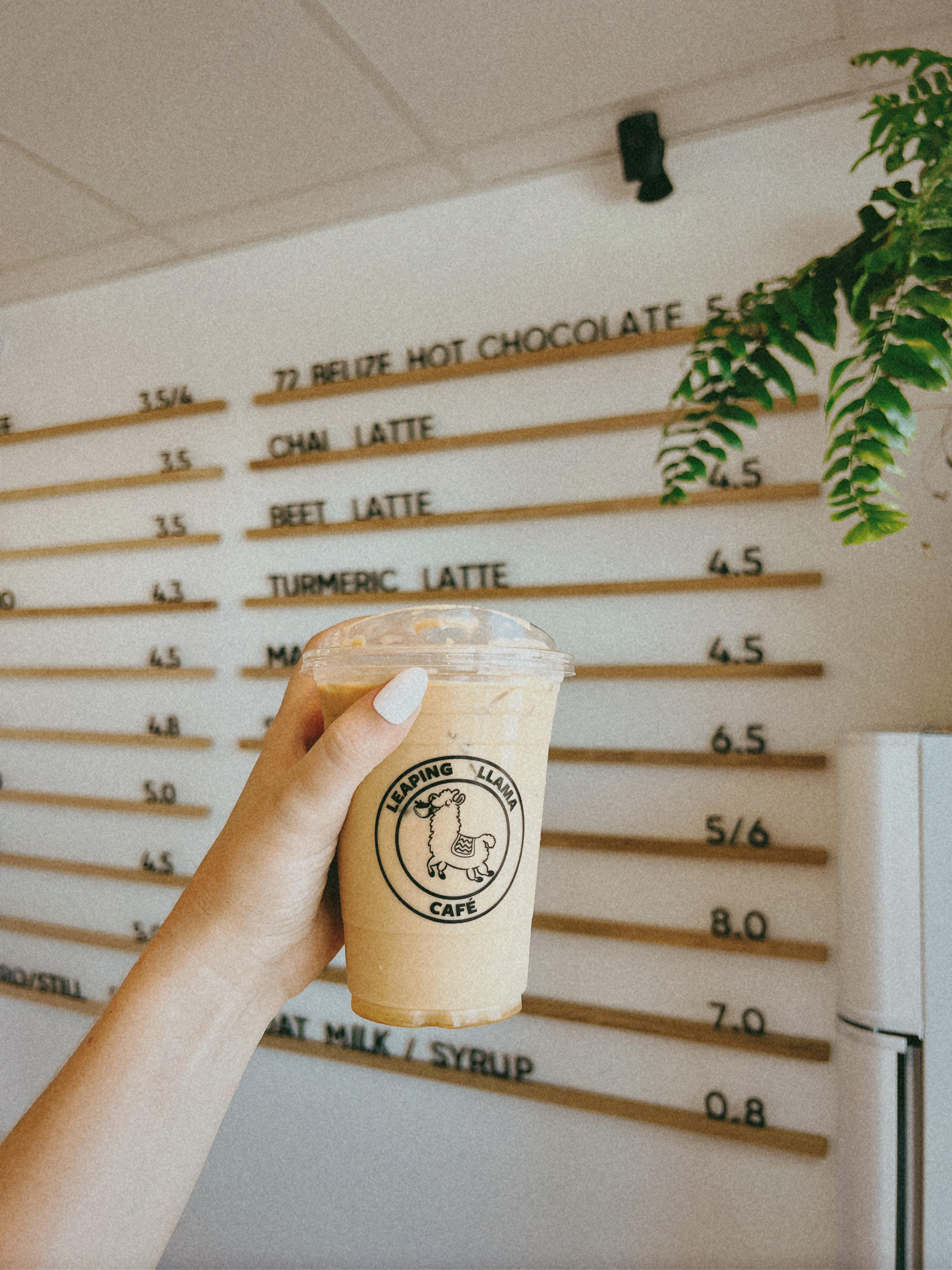 coffee near me, coffee tampa, coffee st pete
