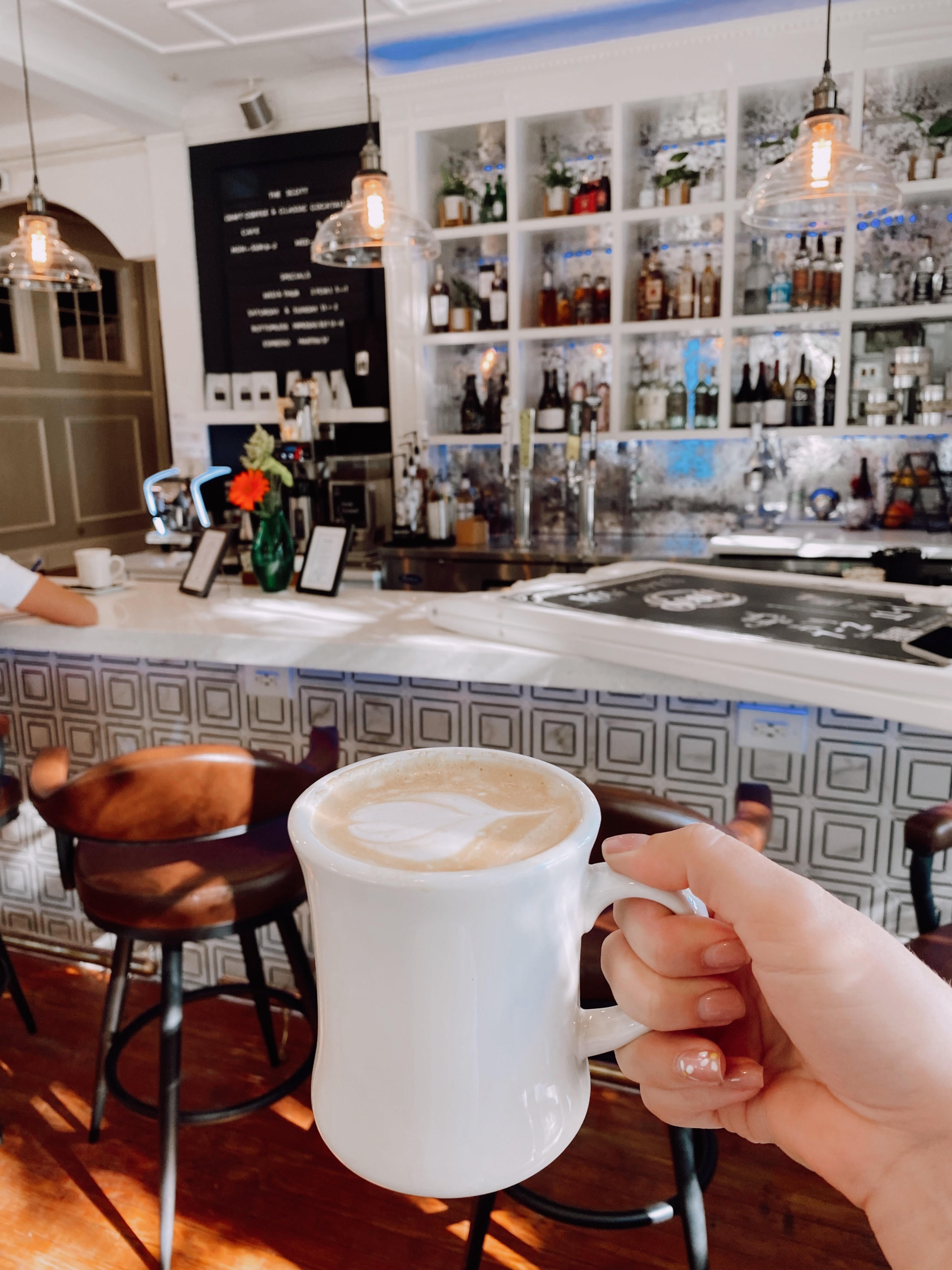 coffee near me, coffee tampa, coffee st pete