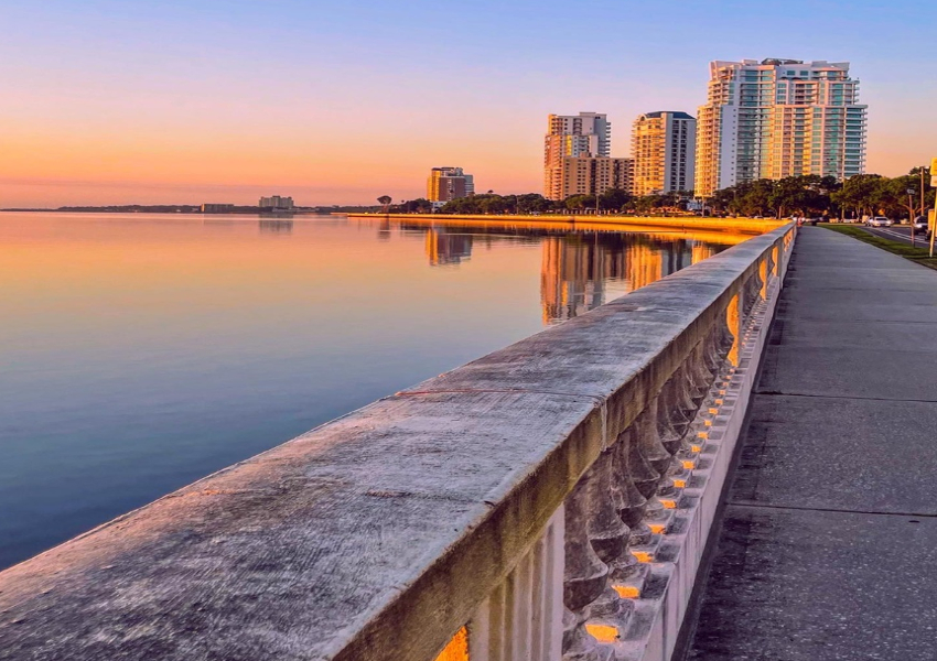 downtown tampa attractions sightseeing tampa downtown tampa things to do nearby