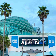 Tampa Bay Riverwalk Tampa Riverwalk restaurants Tampa Riverwalk things to do Tampa Riverwalk hotels Hotel Tampa Riverwalk