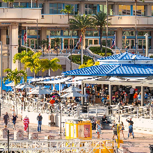 Tampa Bay Riverwalk Tampa Riverwalk restaurants Tampa Riverwalk things to do Tampa Riverwalk hotels Hotel Tampa Riverwalk