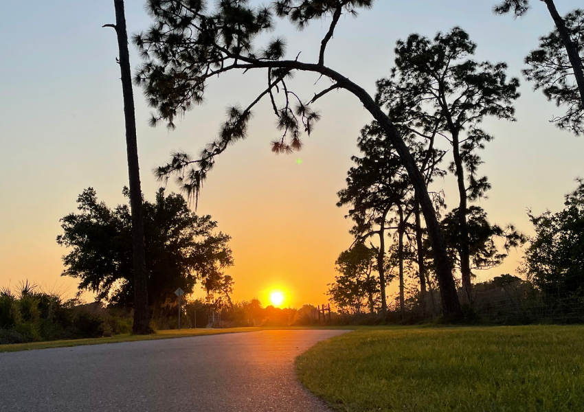 free things to do in tampa things to do in tampa for free free things to do in tampa with family free things to do in tampa this weekend bike trails in tampa bike trails tampa tampa bike trails