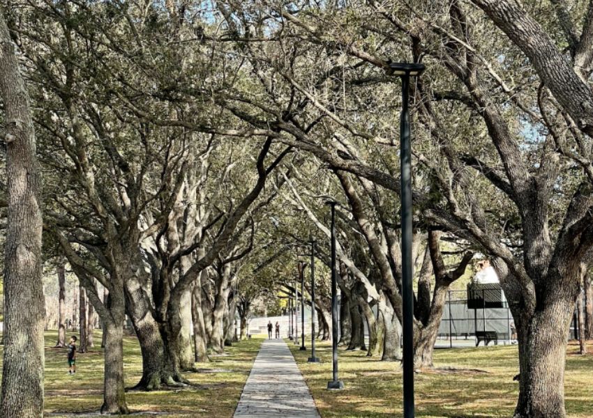 bike trails in tampa bike trails tampa tampa bike trails
