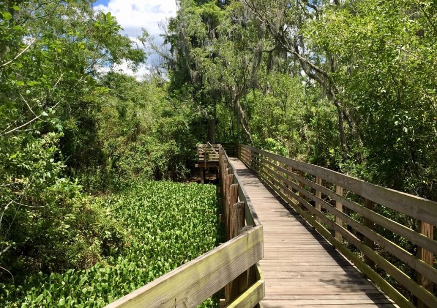 free things to do in tampa things to do in tampa for free free things to do in tampa with family free things to do in tampa this weekend bike trails in tampa bike trails tampa tampa bike trails