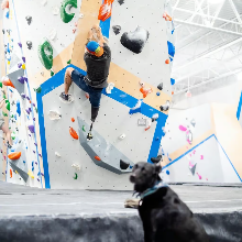 Central Rock Gym