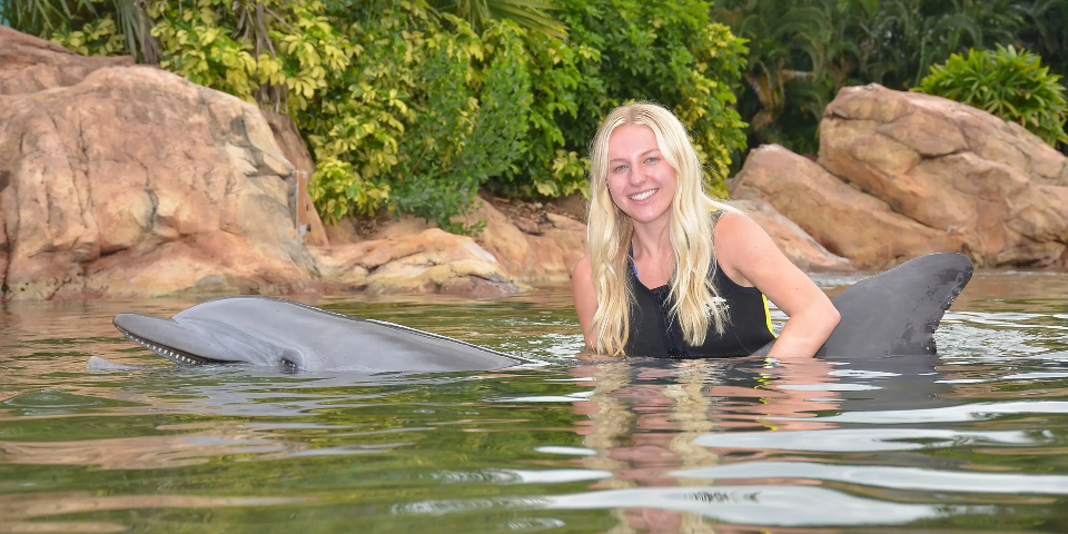 Swim with dolphins  image 1