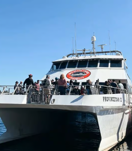 Cross Bay Ferry