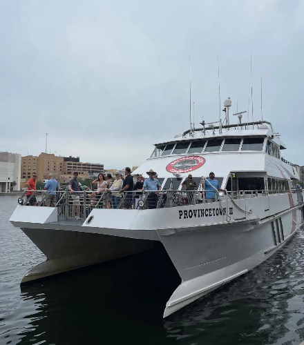 Cross Bay Ferry 