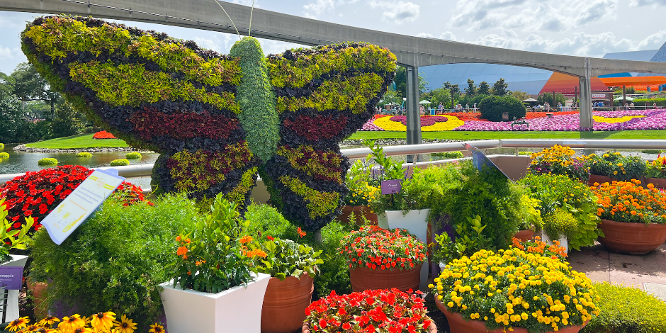 EPCOT International Flower + Garden Festival