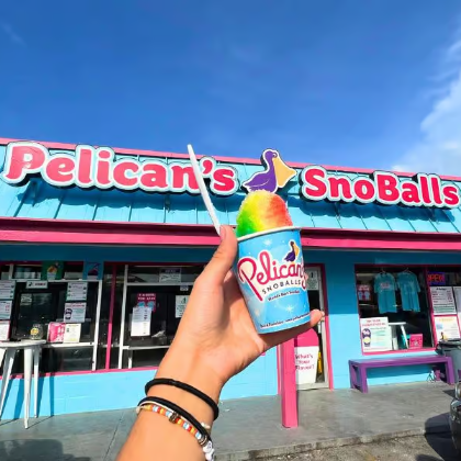 Pelicans Snoballs