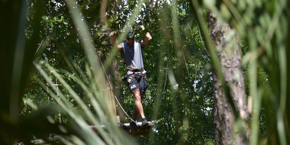 Orlando Tree Trek Adventure Park image 1