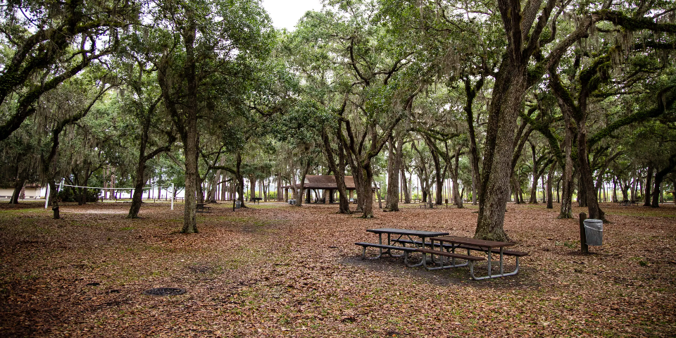 Moss Park image 1