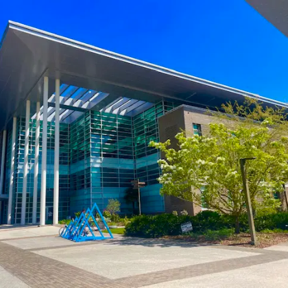 The Library