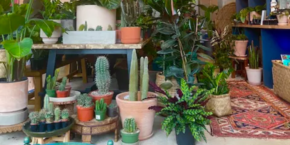 The Greenhouse Bar image 3