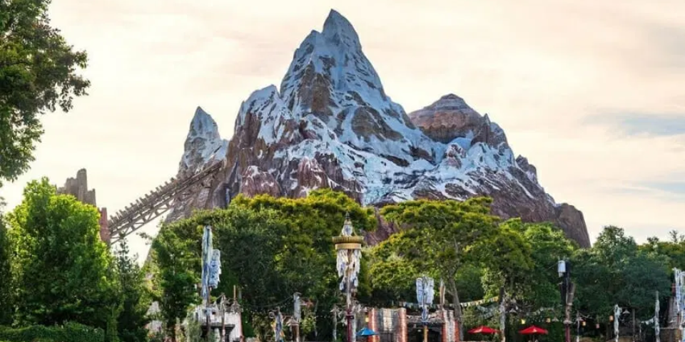 About Animal Kingdom image 2