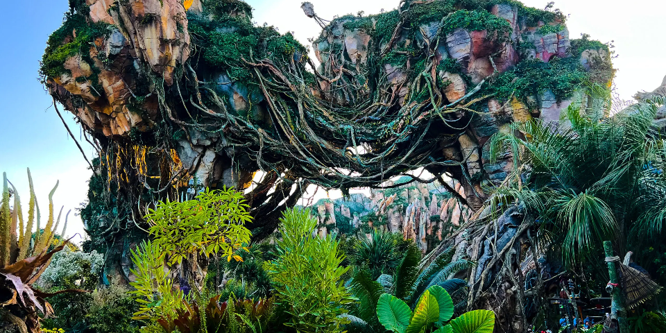 Disney's Animal Kingdom image 3