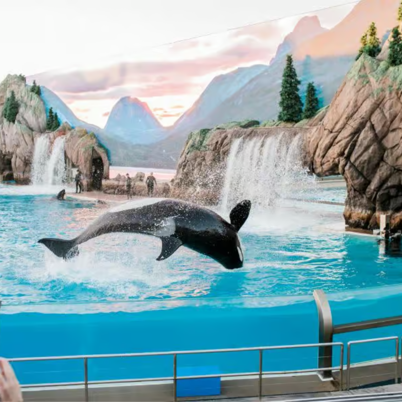 Sea World