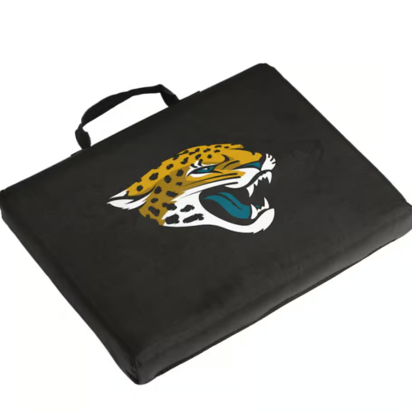 Jags cushion