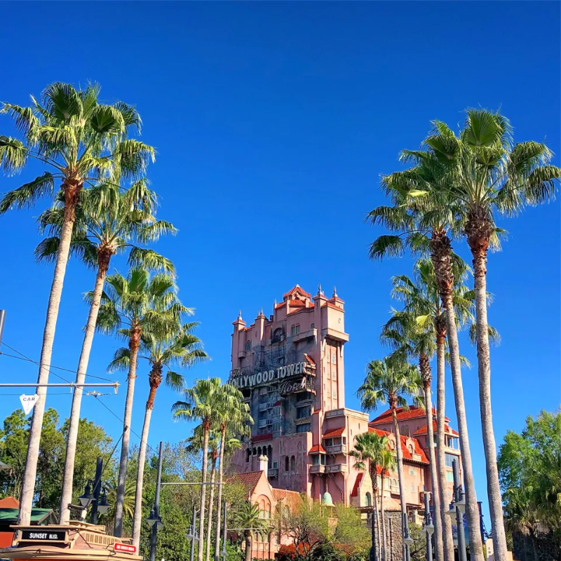 Hollywood Studios