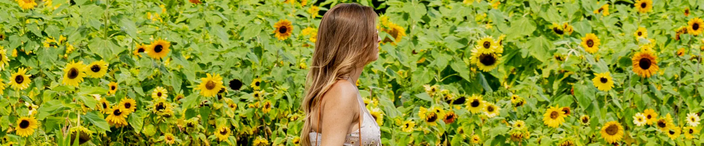 Event_Banner_Image